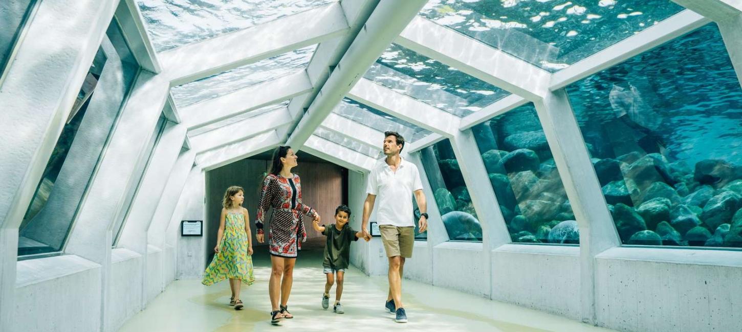 Familie i Nordsøen Oceanarium